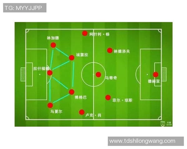深入分析成都排球队区域防守战术的特点与应用策略